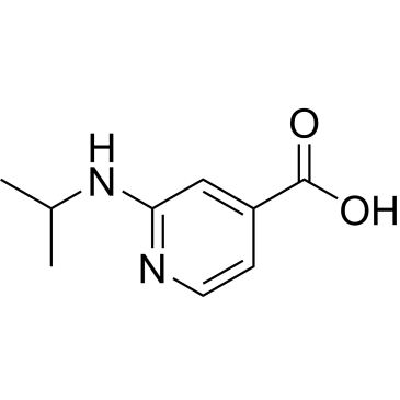 2-(Isopropylamino)isonicotinic acidCas:77314-51-3